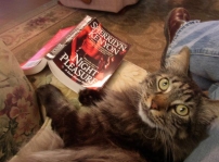 copy_0_muffie-2-8070ec02fa3bde8a1d912ee83b24cc5bc567865f