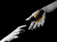 Dev's and Samia's mating mark 