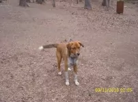 Fury