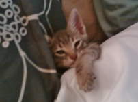 Baby Zoe waking up from a nap!