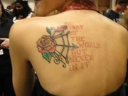 60070_430056601443_72100221443_5141327_7381649_a