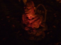 Chez Kenyon after dark