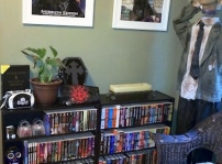 Here's my SK corner in my office. I have posters, books, horns and purses. Makes me smile every time I work. Oh and that's one of my 3 Zombies I have in my office too, they stay all year round.