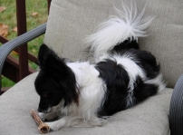 Sally - I still miss my baby.