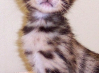 Navi as a baby
